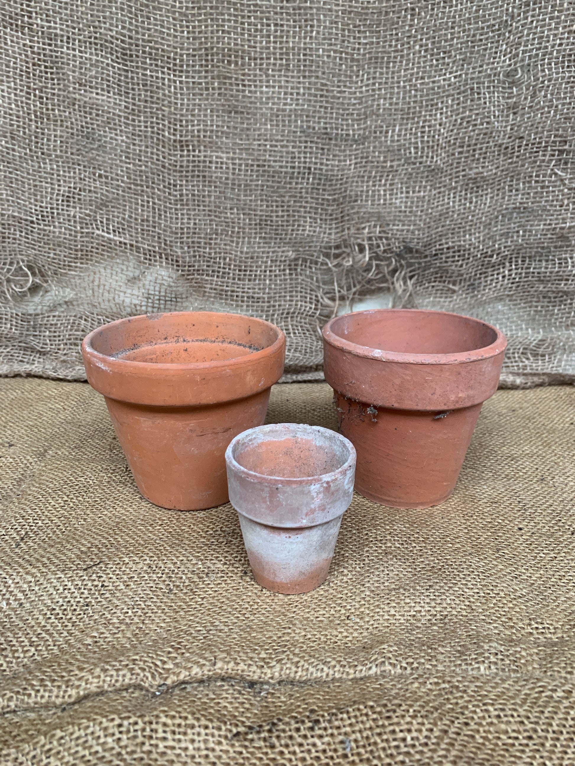3 Terracotta Plant Pots