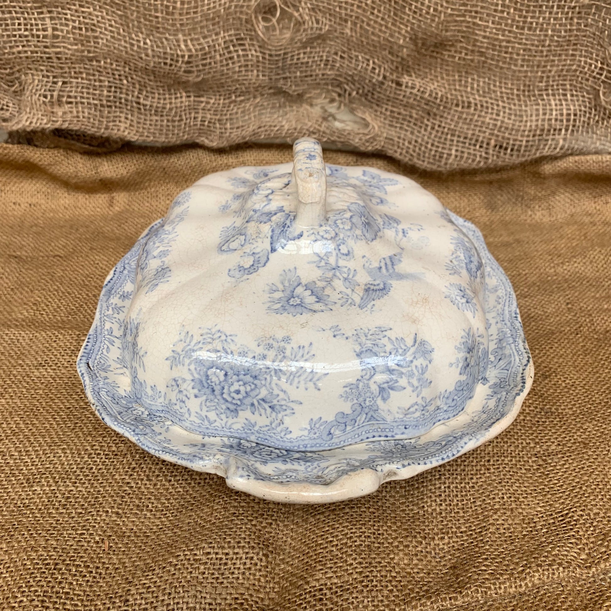 Asiatic Pheasants Tureen