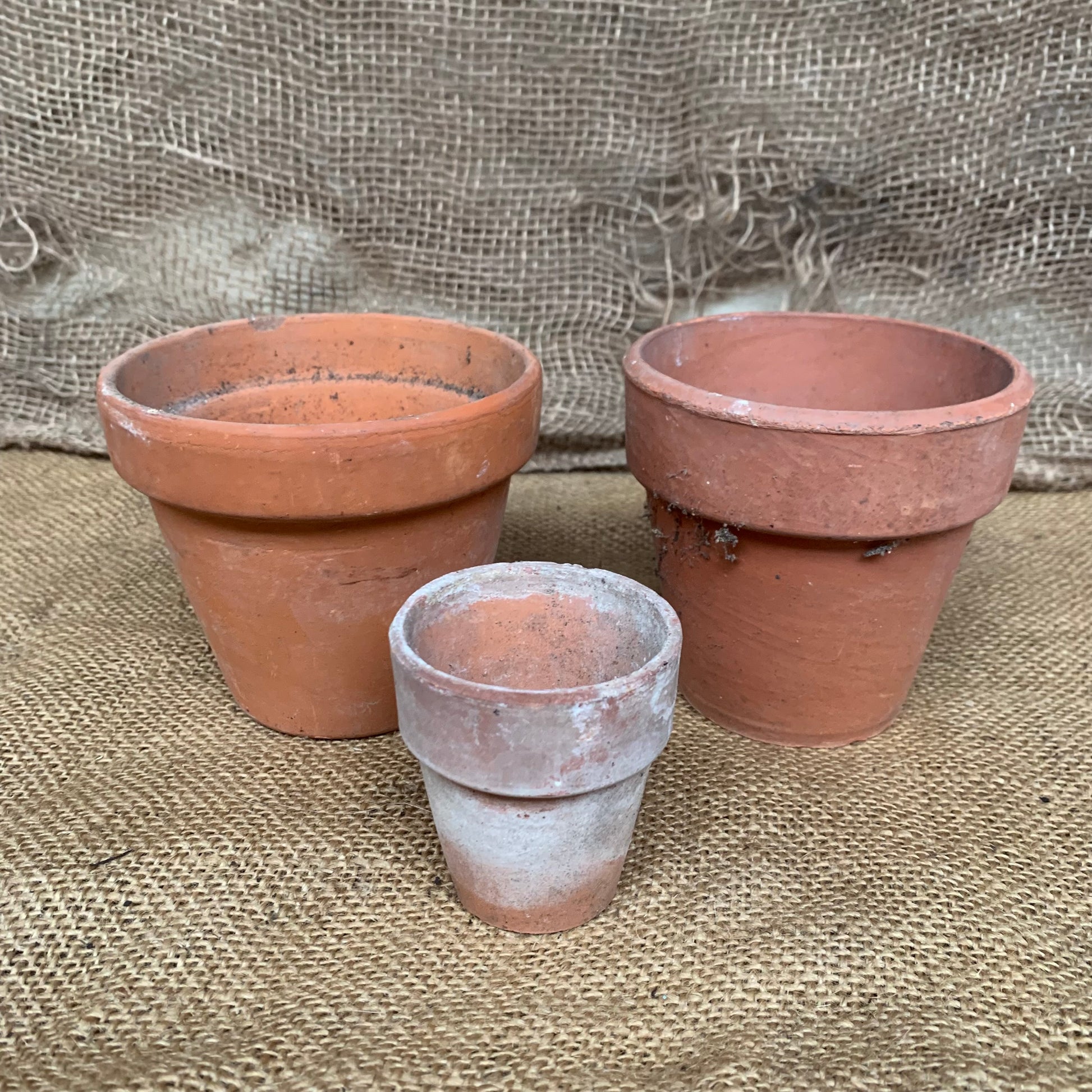 3 Terracotta Plant Pots