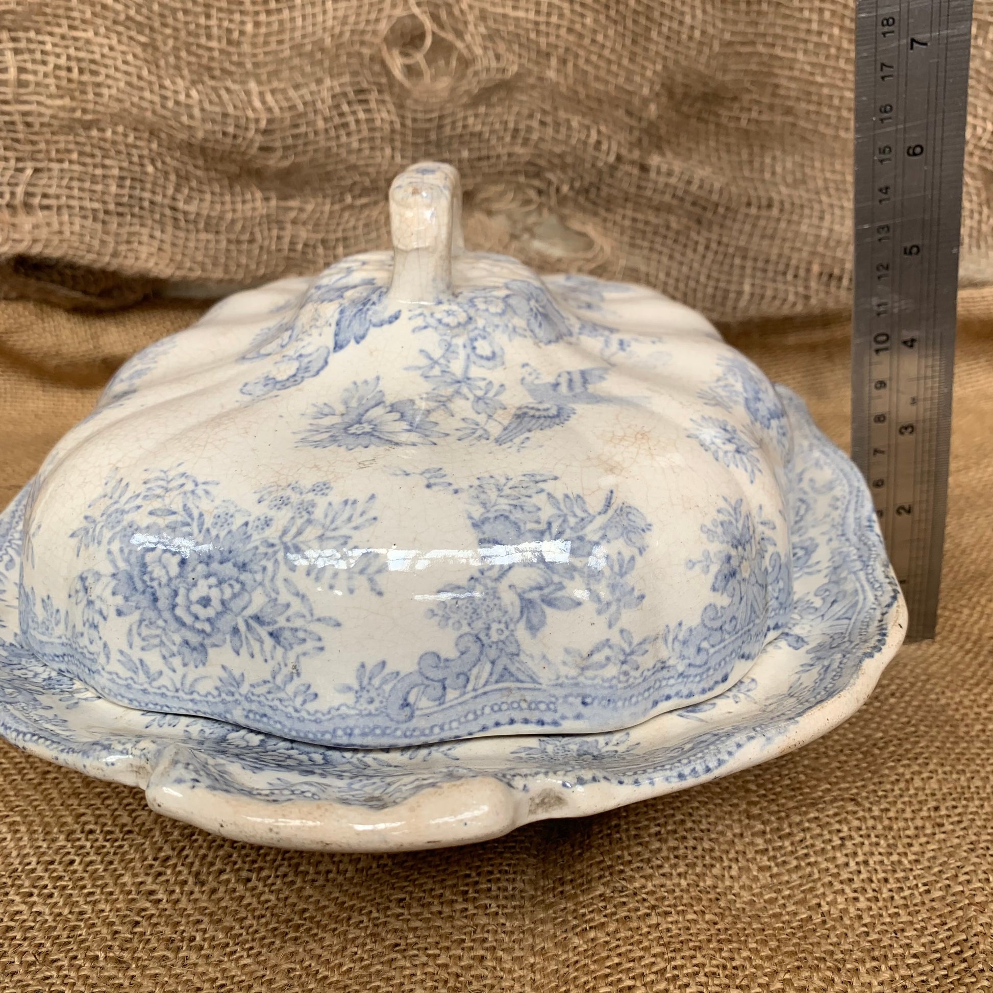 Asiatic Pheasants Tureen