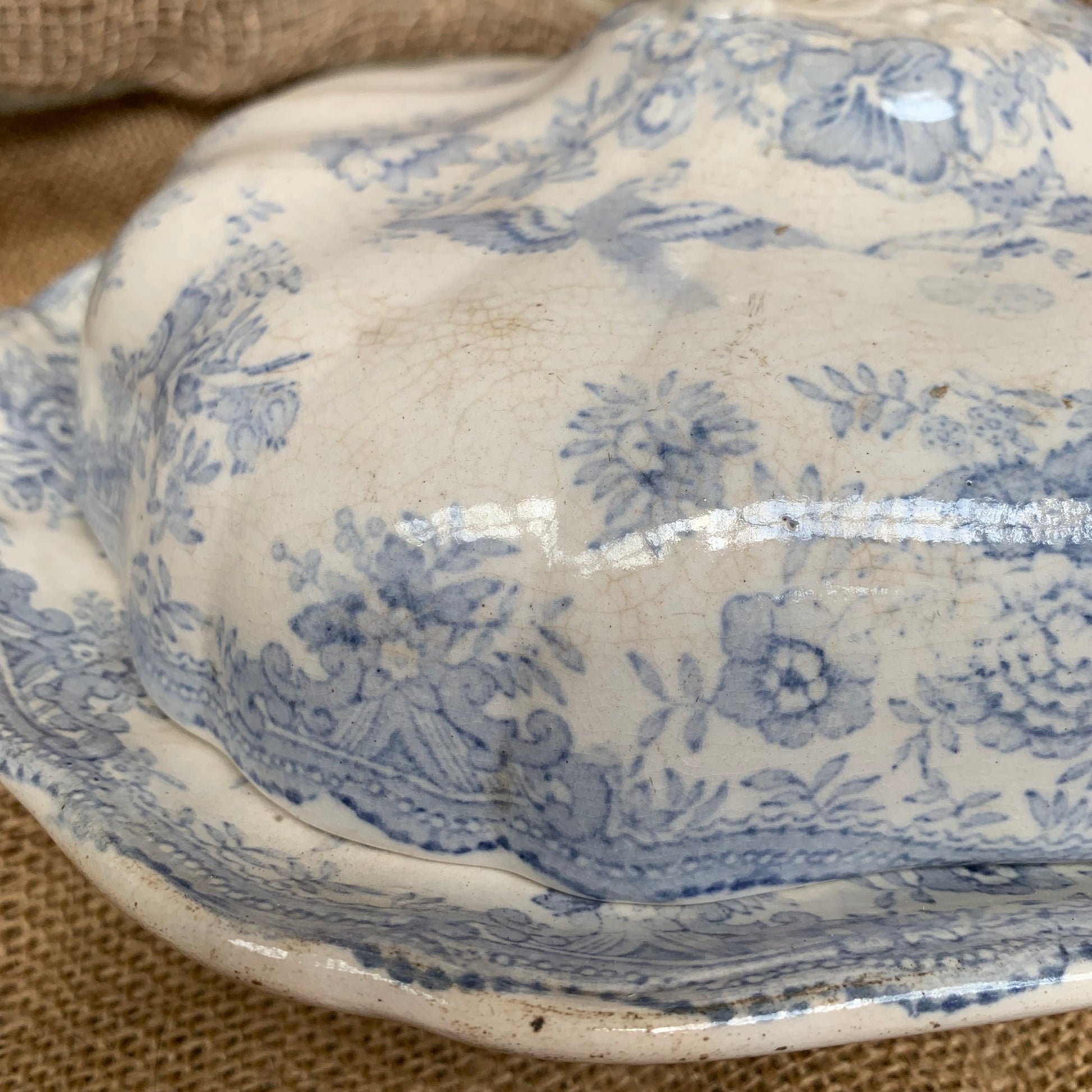 Asiatic Pheasants Tureen