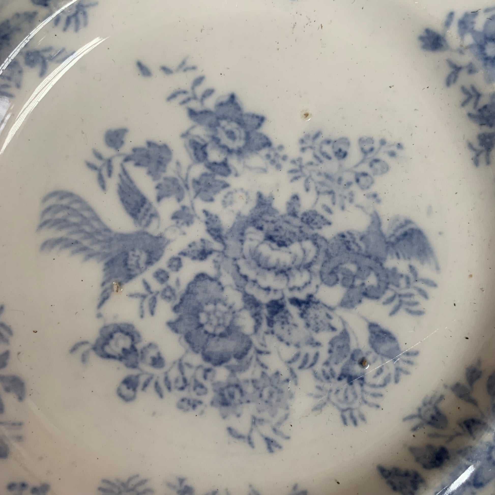 Asiatic Pheasants Small Plate